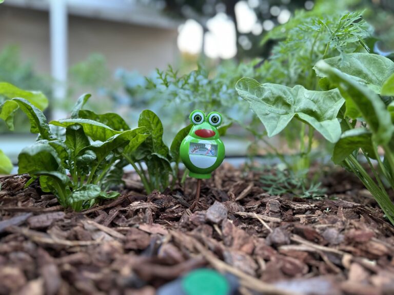 Gardening to Reconnect With Nature