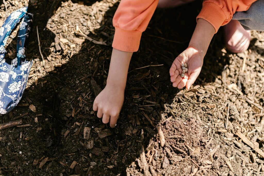 child planting seeds in the ground