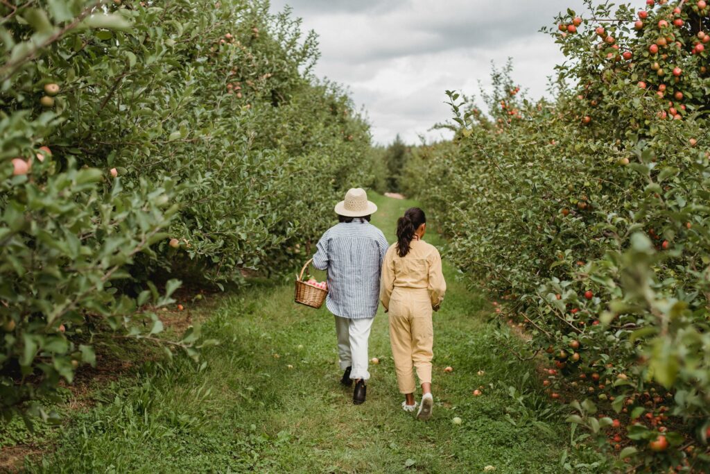 parent and teenager walking through orchard